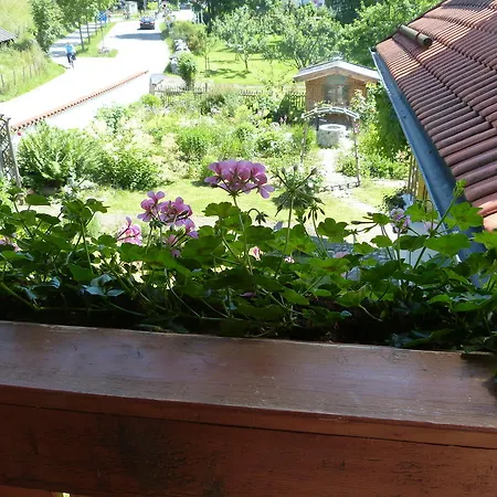 Suzanne's & Gardens Bed and Breakfast